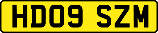 HD09SZM