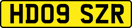 HD09SZR