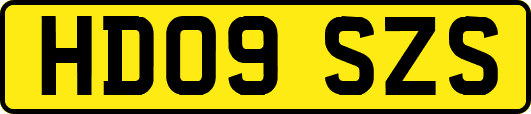 HD09SZS