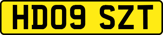 HD09SZT