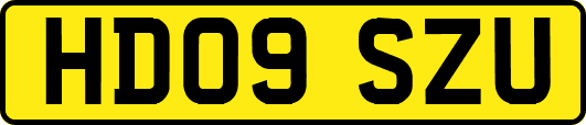 HD09SZU