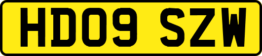 HD09SZW