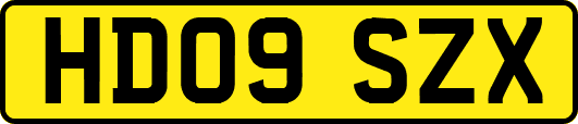HD09SZX