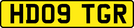 HD09TGR