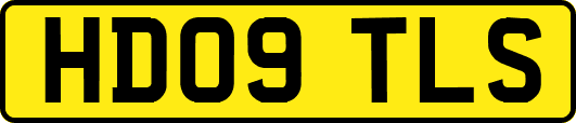 HD09TLS