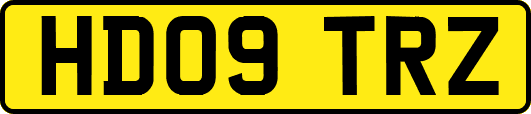 HD09TRZ