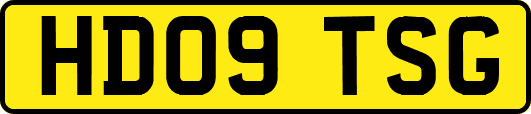 HD09TSG