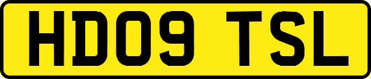 HD09TSL