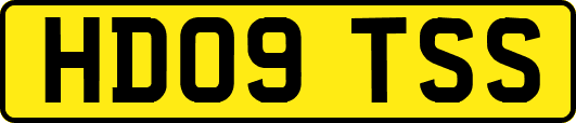 HD09TSS
