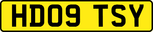 HD09TSY
