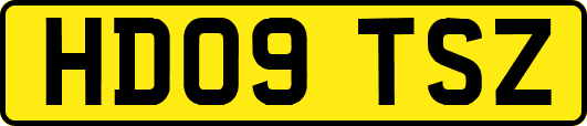 HD09TSZ