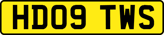HD09TWS