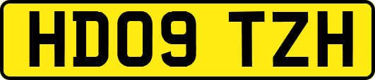 HD09TZH