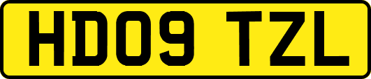 HD09TZL