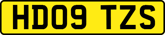 HD09TZS