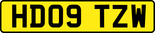 HD09TZW