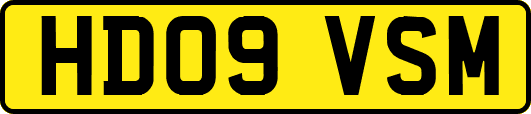 HD09VSM