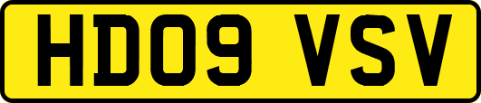 HD09VSV