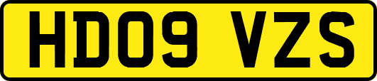 HD09VZS
