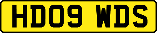 HD09WDS