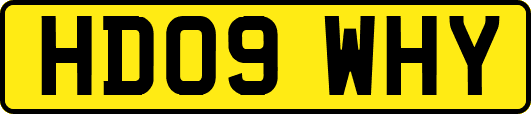 HD09WHY