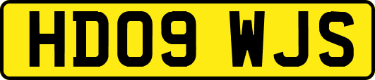 HD09WJS