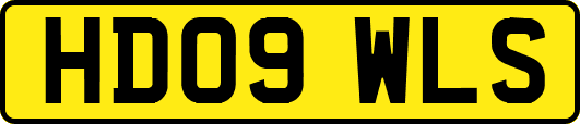 HD09WLS
