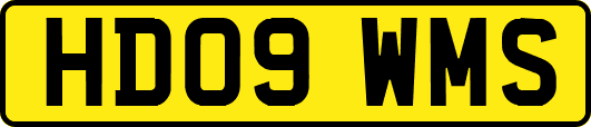 HD09WMS
