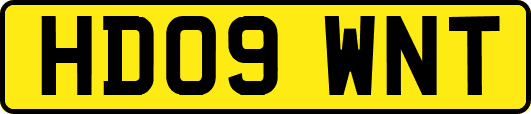 HD09WNT