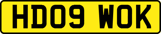 HD09WOK