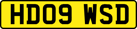 HD09WSD