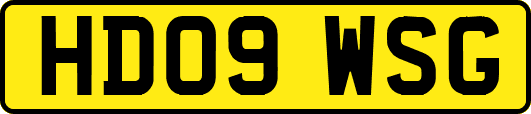HD09WSG