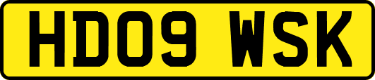 HD09WSK