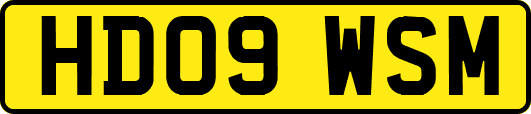 HD09WSM