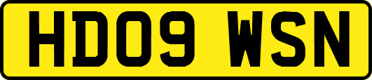 HD09WSN