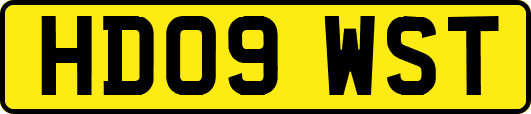 HD09WST