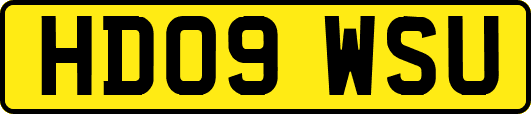 HD09WSU