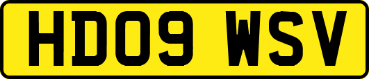 HD09WSV