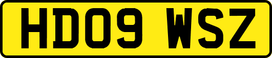 HD09WSZ