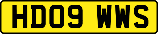 HD09WWS
