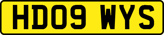 HD09WYS