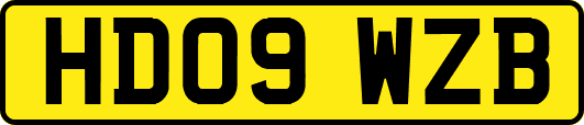HD09WZB