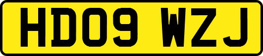 HD09WZJ