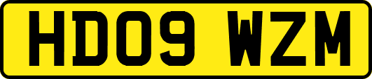 HD09WZM