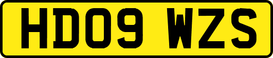 HD09WZS