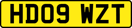 HD09WZT