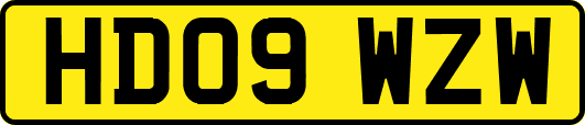 HD09WZW