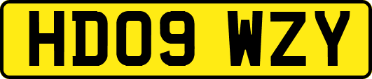 HD09WZY
