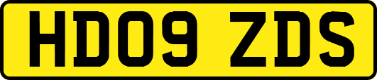HD09ZDS