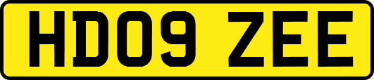 HD09ZEE
